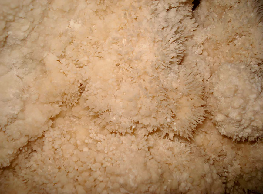 Formaciones en la caverna del Sauce. Caverna del Sauce, La Falda, Córdoba. Foto: Luis Carabelli