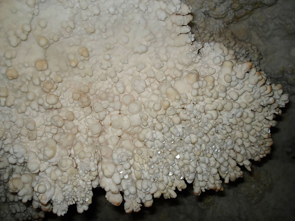 Formaciones en la caverna del Sauce. Caverna del Sauce, La Falda, Córdoba. Foto: Luis Carabelli